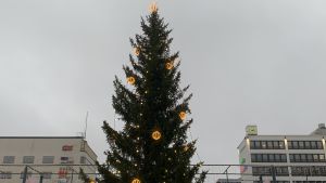Julgranen på Vasa torg har fått sin belysning. Julgran med belysning står på Vasa torg.