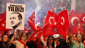Miljoner turkar mötte upp på massmöten till stöd för president Erdoğan under pågående kuppförsök och dagarna därefter. En kvinna håller upp Erdoğans porträtt med texten "Demokratins stjärna". En folkmassa viftar med Turkiets röda flagga. En person håller upp president Erdoğans porträtt med texten "Demokratins stjärna".