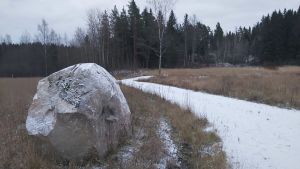 En gemensam bastu ska byggas i skogspartiet bakom stenen. En stor sten invid en gång i åkerlandskap.
