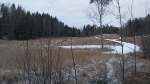 Åkermark på vintern med gångar i mitten.