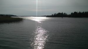 En solgata har fastnat på bild i Rosala i Åbolands skärgård. Bild inskickad av webbesökare.