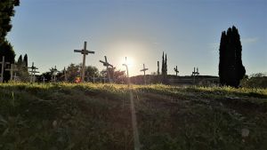 Eftermiddagssol över ett av skamfälten på kyrkogården Flaminio i Rom. Kors på en kulle som badar i sol.