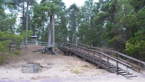 Lappvik strand i Hangö bjuder på en lång sandstrand med dyner och tallar. Stranden förvaltas av Föreningen Nylands friluftsområden och det omfattar också en skogsremsa med fina promenadstigar Trappa längs sanddyna