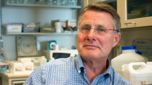 Professor Kalle Saksela vid Helsingfors universitet. Kalle Saksela, professor i virologi vid Helsingfors universitet
