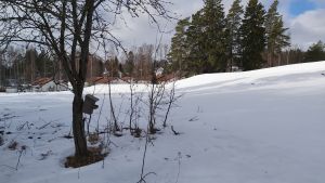 Området ligger intill ett småhusområde på andra sidan Haikovägen. Snöig tomt med småhus i bakgrunden.