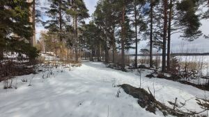 Dan Mollgren önskar att strandlinjen ska vara öppen för alla. Snöigt landskap med strandlinje.