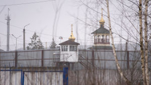 Navalnyj hålls i ett fängelse i Pokrov som ligger omkring 100 kilometer öster om Moskva. Prison in Pokrov, Russia