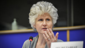 Anna Maria Corazza Bildt Europaparlamentarikern Anna Maria Corazza Bildt