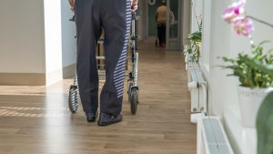Vanhus kävelee käytävällä rollaattorin kanssa Myyrmäen vanhusten keskuksessa, Vantaalla.