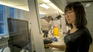 Spermabankens laboratorium hanterar miljarder spermier. Sperma av god kvalitet har livliga spermier och få döda spermier. Kvinna undersöker spermier i ett laboratorium med mikroskop och datorskärm.