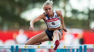 Annimari Korte.
