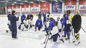 Höga förväntningar på Damlejonen inför de kommande åren. Finlands damlandslag i ishockey.