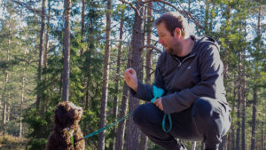 Rico trivs ute i skog och mark Teemu Lepola ja Rico (Australian labradoodle, 5 kk)