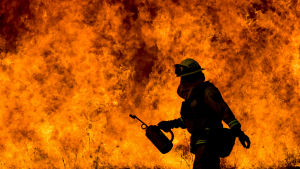 14 000 brandbekämpare deltar i arbetet för att släcka åtta större markbränder i norra Kalifornien 14 000 brandbekämpare deltar i arbetet för att släcka åtta större markbränder i norra Kalifornien