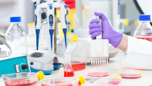 In vitro-test, alltså forskning med odlade celler, är ett sätt att ersätta djurförsök. Ett laboratorium fyllt med vätskor och provrör. En hand håller i en stor flerpipig pipett och droppar ner vätska i små provrör.