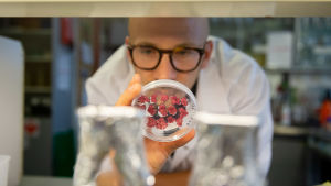 VTT:n tutkija ja biotekniikan tohtori Lauri Reuter, VTT:n laboratorio, Espoo, 21.8.2018.