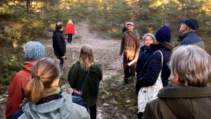 En lång promenad på området avslutade infomötet. Bland andra Esko Tainio (i skärmmössa, tittar mot kameran) svarade på frågor, visade vad man är ute efter och förklarade vilka träd som ska bort och vilka som blir kvar. En grupp människor i en gles tallskog. De tittar omkring sig på träden, främst tallar. Det är vår, ingen snö på marken, skymning.