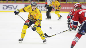 Teemu Ramstedt har drivit på IBD-frågor inom idrotten. Teemu Ramstedt i SaiPa.