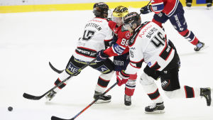 Ässät kunde inte stoppa Erik Thorell. Erik Thorell mellan två Ässät-spelare i ligan 2018-2019.