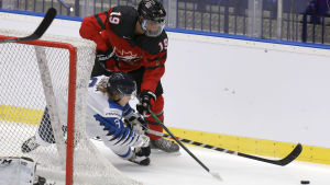 Quinton Byfield och Kanada genrepade mot Finland. Quinton Byfield i duell mot Anttoni Honka.