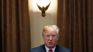 President Trump under ett möte i Vita huset på tisdagen 6.2.2017. President Trump under ett möte i Vita huset på tisdagen 6.2.2017.