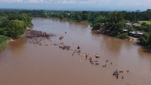 Migranter vadar över gränsfloden Suchiate mellan Guatemala och Mexiko på måndagen 29.10.
