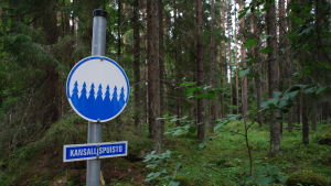 Skogarna i Liesjärvi nationalpark är av olika ålder, de äldsta närmare 200 år gamla. En skylt med texten "kansallispuisto" i en skog.