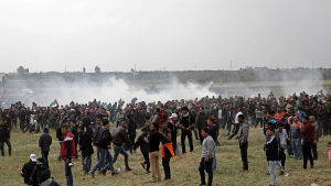 16 palestinier dödades och över 1 400 skadades då israeliska soldater öppnade eld mot demonstrerande palestinier