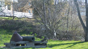 Små dungar får vara i naturtillstånd här och där i Hangö så att fåglar och insekter har någonstans att bo. Hangö stad lämnar dungar med träd som får vara i naturtillstånd så att fåglar och insekter ska trivas.