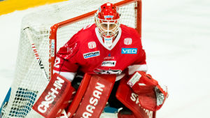 Niko Hovinen har varit i form då Sport vunnit fyra matcher i rad. Niko Hovinen vaktar målet.