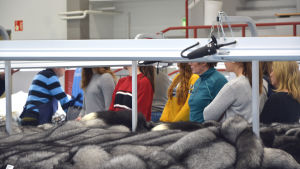 Skolklasser besökte skinnutställningen i Nykarleby. Skolklass besöker skinnutställning i Nykarleby.