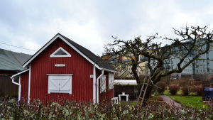 Området som koloniträdgården finns på ägs av Helsingfors stad och marken hyrs ut av Brunakärr koloniträdgårdsförening. En kolonistuga med kontorsbyggnader i bakgrunden. På gården står en stege lutad mot ett stort trädd.