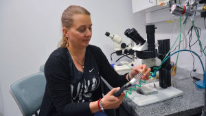 Forskare Annika Meinander. Forskare Annika Meinander jobbar vid ett mikroskop i ett laboratorium.
