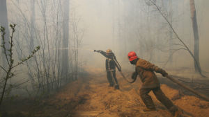 Brandmännen och lokala invånare kan utsättas för strålning Skogsbrand nära byn Rabovka i Ukraina i närheten av kärnkraftverket i Tjernobyl.