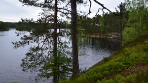Finländare rör sig mycket ute i naturen just nu. Tykö strövområden i Salo sommaren 2014