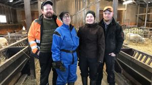 En ny generation tar över Bisa gård. Från vänster Dick, Marjaana och Eva-Linn Sjöblom och Rasmus Sahl. Dick, Marjaana och Eva-Linn Sjöblom och Rasmus Sahl.