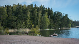 Kanske det kan finnas en friluftsled här i skogen intill? En vy över en vik vid stranden, solen skiner