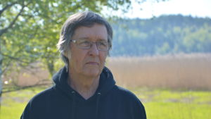 Professor emeritus Heikki Kallio tror på havtornsbuskens egenskaper. Profilbild på professor Heikki Kallio.