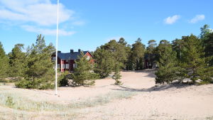 Så här ser en del av sommarlägrets område ut från vattnet. En bild på ett lägerområde. På bilden syns ett rött hus omgivet av tallar.