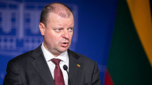 Premiärminister Saulius Skvernelis är mer populär bland låginkomsttagarna ute på landsbygden än bland en yngre befolkning i städerna. Premiärminister Saulius Skvernelis är mer populär bland låginkomsttagarna ute på landsbygden än bland en yngre befolkning i städerna.