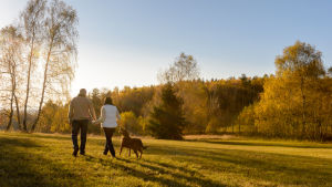 Allt fler väljer i dag frivillig barnlöshet. En man och en kvinna går på ett fält med en hund.