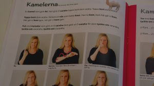 Materialet kan användas hemma, på daghem och i skolor. I sånghäftet finns bl.a 6 nya sånger skrivna av Nina Broms-Lövman. Bilder på hur man tecknar sången "kamelerna". Utdrag ur Sandras sångmaterial.