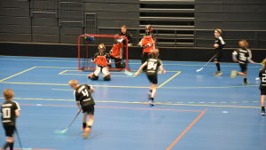 TPS innebandyjuniorer tränar i den nya bollhallen. Pojkar tränar innebandy i Kuppis bollhall i Åbo.