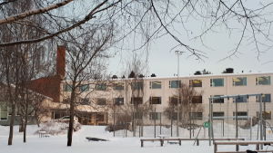 Donnerska skolan och svenska gymnasiet är de senaste i raden över skolor som måste åtgärdas. Donnerska skolan och Karleby svenska gymnasium.