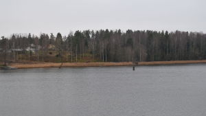 Vyn från bron på Baggövägen kommer att ändras radikalt om planerna på en småbåtshamn godkänns. En strandlinje med vass i Gammelboda där Raseborgs stad planerar en småbåtshamn.