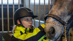 Nepsynuori hoitaa ratsastustunnilla käyttämäänsä hevosta.