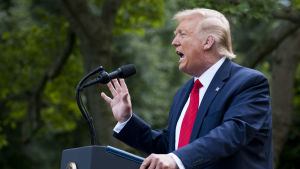 President Trump i Vita Husets rosenträdgård. President Donald Trump står och talar vid ett podium. Han gestikulerar vilt och har röd slips.
