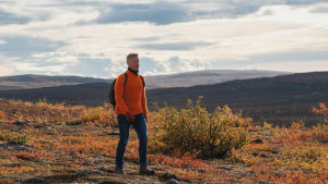Farkkuihin ja oranssiin puseroon pukeutunut mies kävelee ruskan värjäämässä tunturimaisemassa.