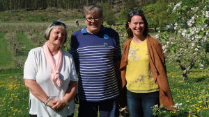Gunilla Granberg, Calle Storm och Susanne Grönroos. Två kvinnor och en man framför Söderlångviks äppelodlingar.