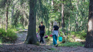 Kaksi marjanpoimijaa kävelee metsässä
